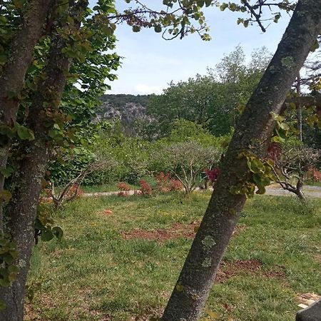 Les Cypres Villa Lagorce  Eksteriør bilde
