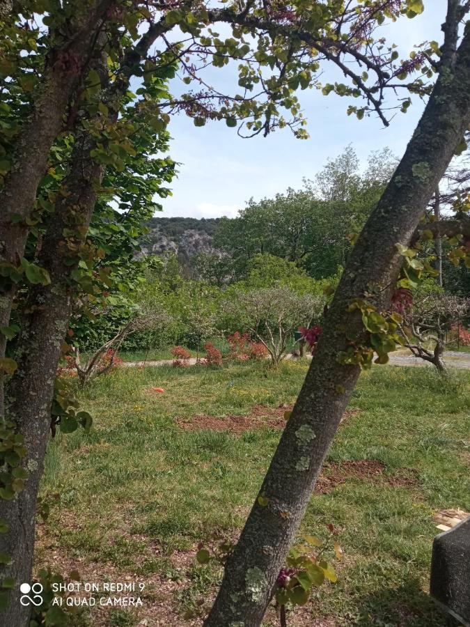 Les Cypres Villa Lagorce  Eksteriør bilde